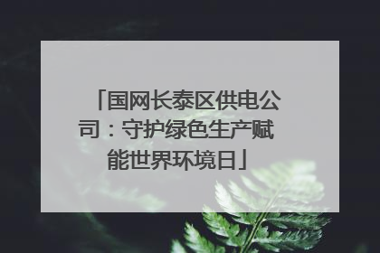 国网长泰区供电公司：守护绿色生产赋能世界环境日